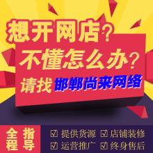 技术服务 淘宝拼多多装修设计 技术服务 淘宝拼多多装修设计