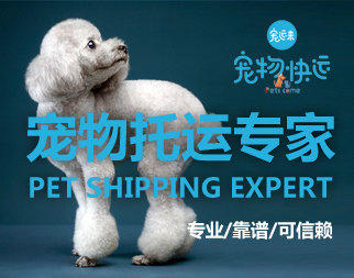 邯郸宠物托运 专业靠谱全部包办 安全大公司有保险 邯郸宠物托运 专业靠谱全部包办 安全大公司有保险
